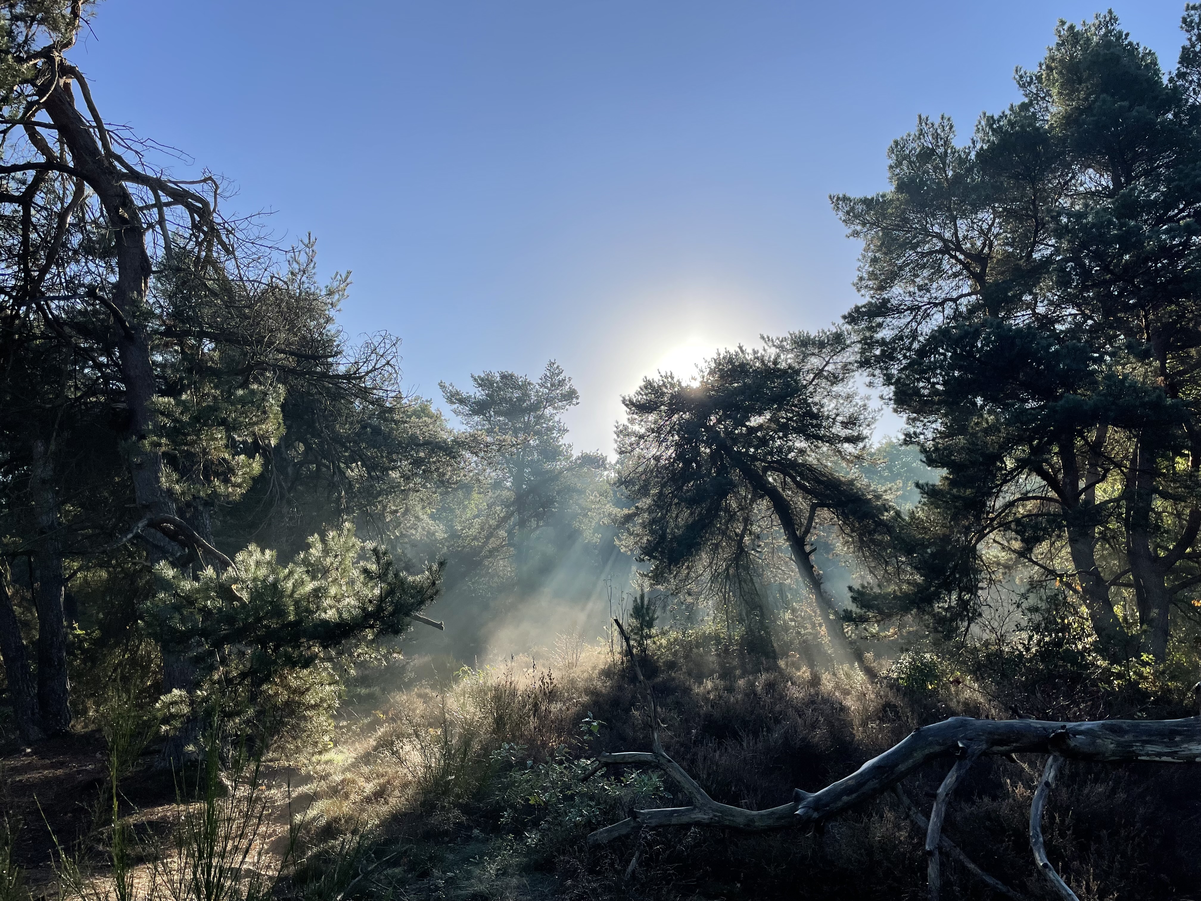 Provincie Gelderland