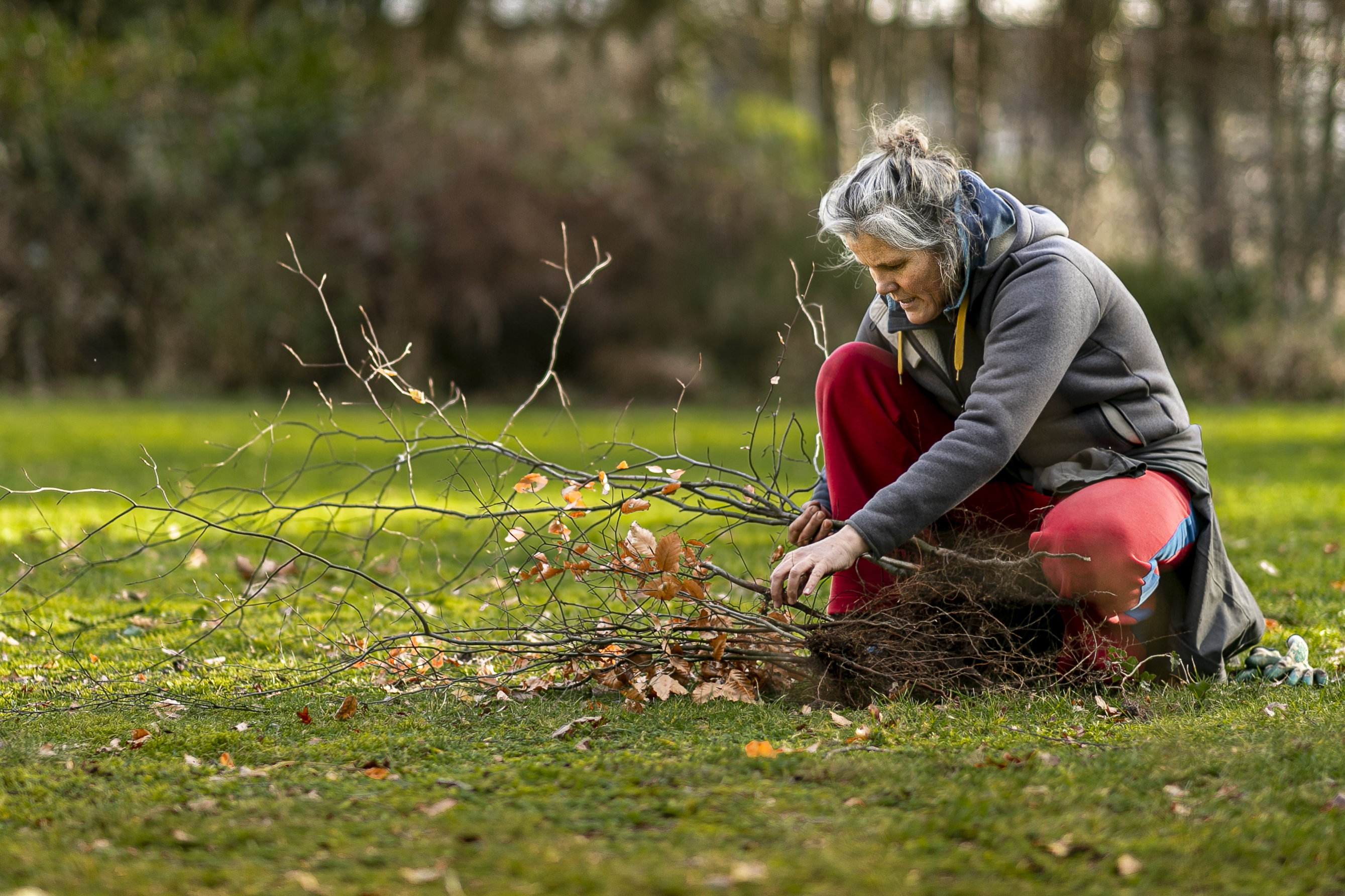 Regio Utrecht - Floor & Stefan Meer Bomen Nu