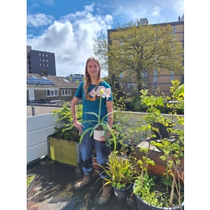 Oogstbegeleider Westerkwartier Erik Komen